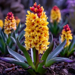 Гиацинт Миднайт Мистери купить по цене от 2099р. в интернет-магазине «Посадика» с доставкой почтой в в Кизеле и по всей России – [изображение №1].